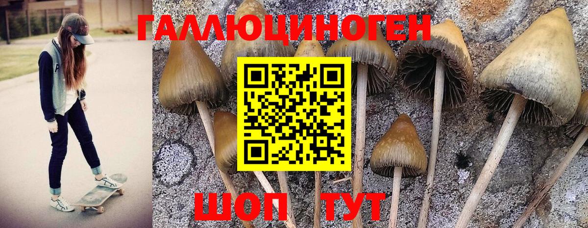 Псилоцибиновые грибы MAGIC MUSHROOMS  Вход с VPN  Фурманов  Галлюциногенные грибы прущие грибы 